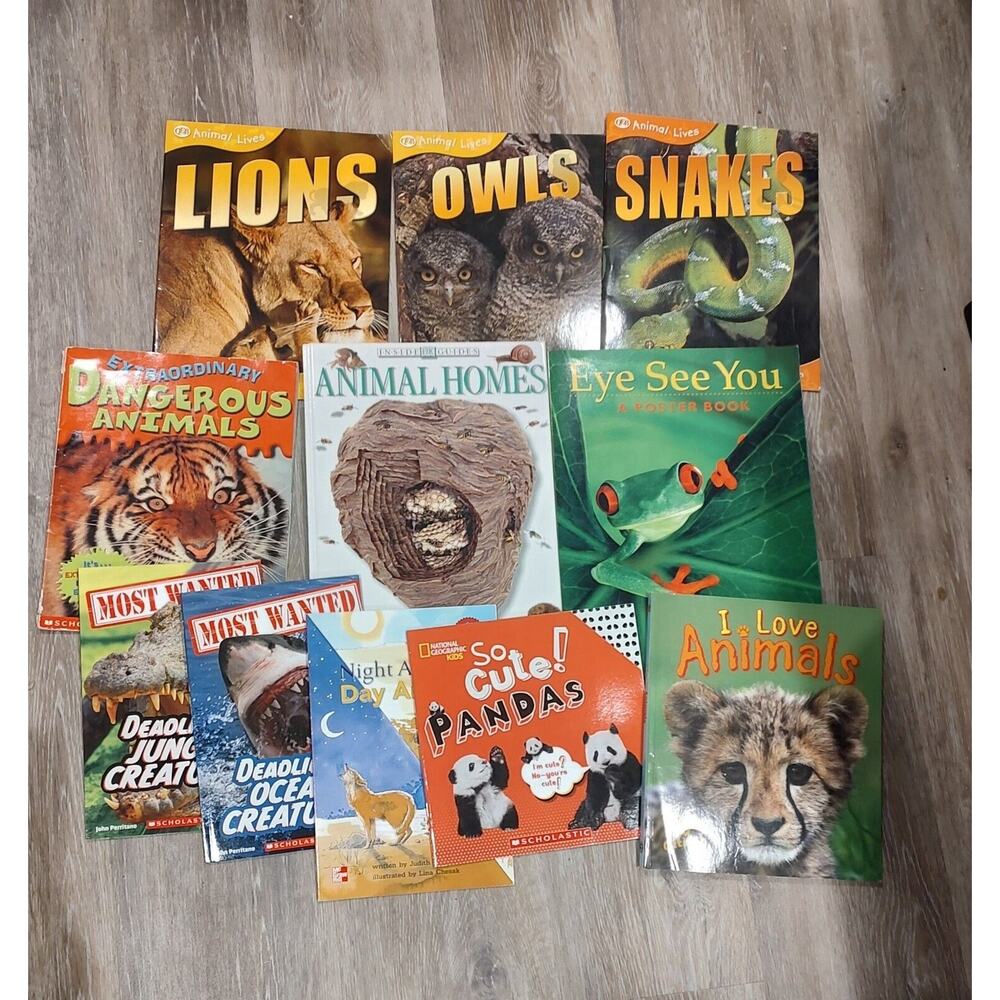 All About Animals Book Lot 11 K-3 Grade Owls Snakes Animal Homes And More